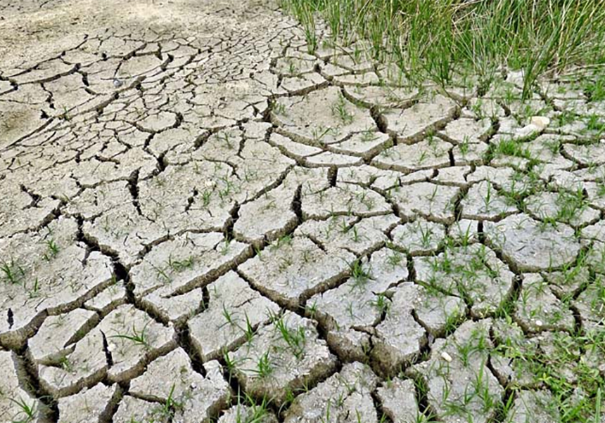 Canvi climàtic i territori al Mediterrani ibèric